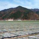 옥류동쉼터 화장실 이미지