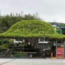 목련주유소 이미지