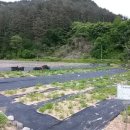 송이농장(2) 이미지