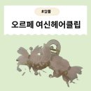 [제품] 오르페 여신헤어클립 여성집게핀 사용 후기 – 우아한 스타일링 완성!