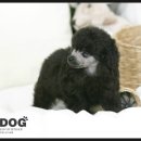 나우 실버케어 이미지