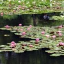 세마오리농원 이미지