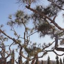 서부직업전문학교