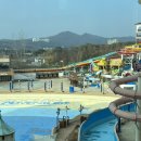 펫클럽천안 | 천안 소노벨 스위트룸 후기 (가족여행으로 추천)