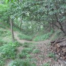 고비고개로 이미지