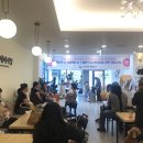 대구반려동물산업협동조합 함개하자냥 이미지