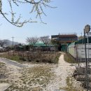 둔치도경로당 | 부산 둔치도 금빛노을 주차, 입장료, 외부 음식 들고간 이용 후기