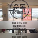 순독 | 화정동 애견미용실 순독, 포메 미용 후기
