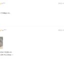 노비카캐시미어 이미지