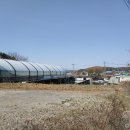 발랑리 경로당 네이버블로그