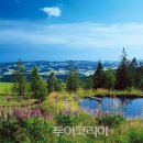 산천초목 이미지