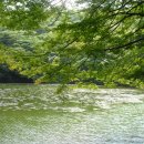 오름 세계일보