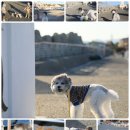 신암1리 이미지