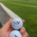 썬스크린골프연습장 | ​골프 필드 레슨 현장! 베어즈베스트 그늘집 두부김치와 숏게임 정복기