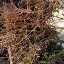 길복농장 이미지