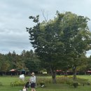 Oh천사어린이집 이미지