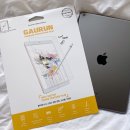 털좀밀개 | 아이패드7세대 종이질감필름은 마찰력 좋은 가우런