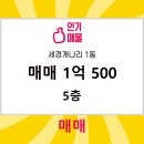 개나리공인중개사사무소 이미지