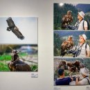 신구대학교식물원 갤러리 우촌 | [성남 가볼만한 곳] 신구대학교 식물원 : 공존의 철학, 우리 곁에 새(갤러리 우촌 기획 사진전)