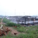 화성양계장 이미지