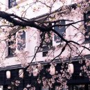 예래 본향당 이미지