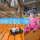 대암둔기로 | 울산 언양 24시 찜질방 태화강참숯가마 🔥 아이동반 가능 후기