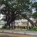 호텔스완(Hotel Swan) 이미지