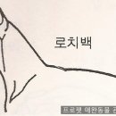 프로펫애견미용학원
