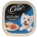 시저