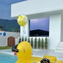 스테이1342일과삶사이 이미지