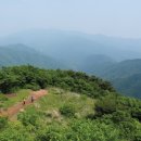 용문산 둥지 이미지