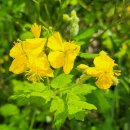 백곡천1 이미지