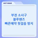 (주)은현점 블루핸즈 | 경기도 부천시 소사구 블루핸즈 서비스 센터 찾는 방법(정리)