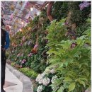 한솔부동산중개사무소 이미지