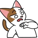 국제두피탈모