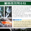 미천골 Daum카페