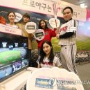 Q스포츠 이미지