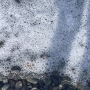 소망캠핑장 | 경주오류캠핑장 6번사이트 7월 해수욕장 후기