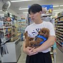 지에스(GS)25 평택동문가점 이미지