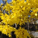 나무그늘 행정사사무소 이미지