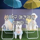 지디파크 이미지