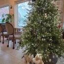 카페마루 | 김해 대청동 동네카페 마루커피 후기