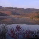 복사꽃피는마을 이미지