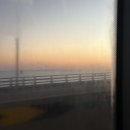 5268 | 4박5일 도쿄여행기 🇯🇵🎎