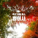 범어사매표소 계단 아래 | 부산 단풍 명소 범어사 주차장 대중교통 정보 단풍 계단 포토존