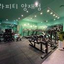 테라피티 이미지