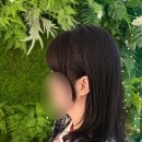 세종 어진동 미용실 캄뷰티보타닉가든 나루원장 레이어드씨컬펌 후기
