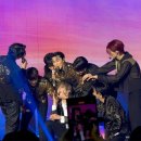 둥구리 | 3/23 세계 강아지의 날~