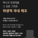 켈리윗유 코리아