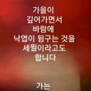 연신유도체육관 네이버블로그